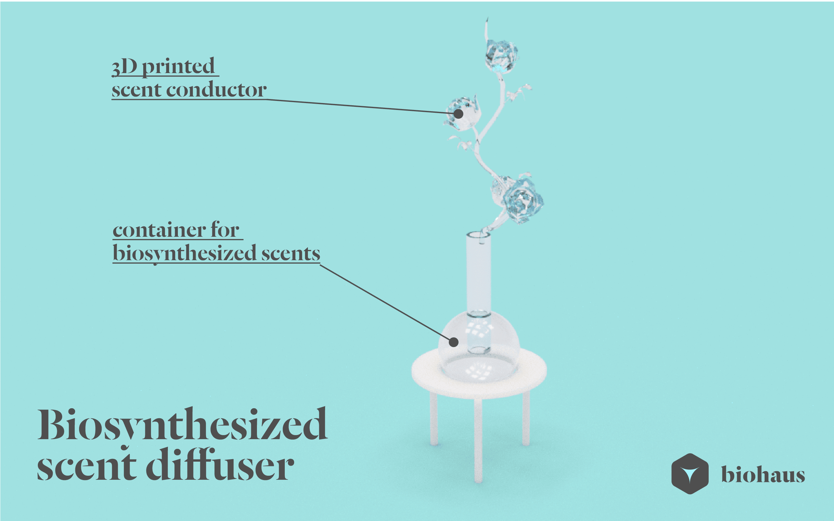 biohaus scent diffuser