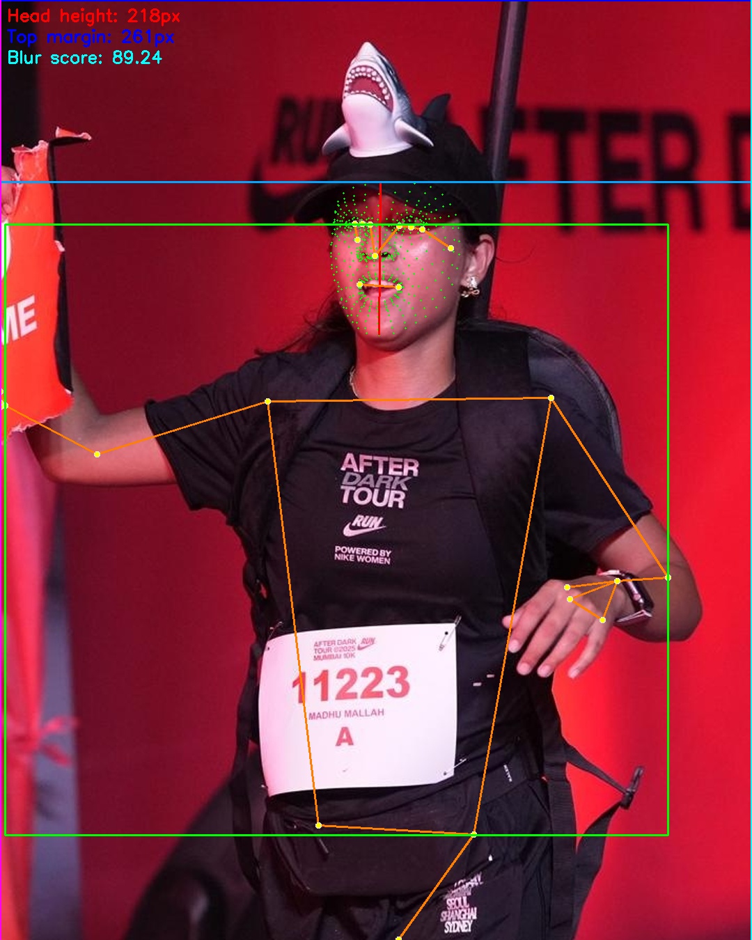 Debug landmarks showing pose and face detection
